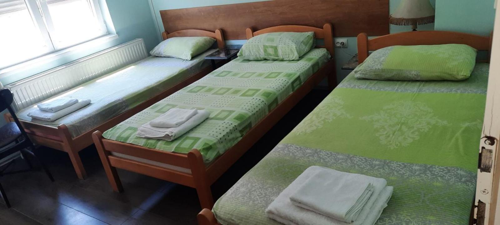 Guest House Trajkovic Jagodina Bagian luar foto